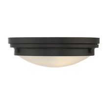 Savoy House 6-3350-14-13 - Lucerne 2-Light Ceiling Light in English Bronze