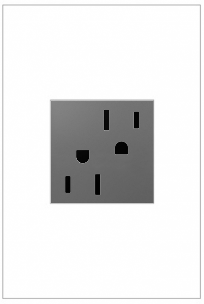 adorne 15A Dual Tamper-Resistant Outlet, Magnesium