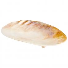 Cyan Designs 09834 - Small Abalone Tray