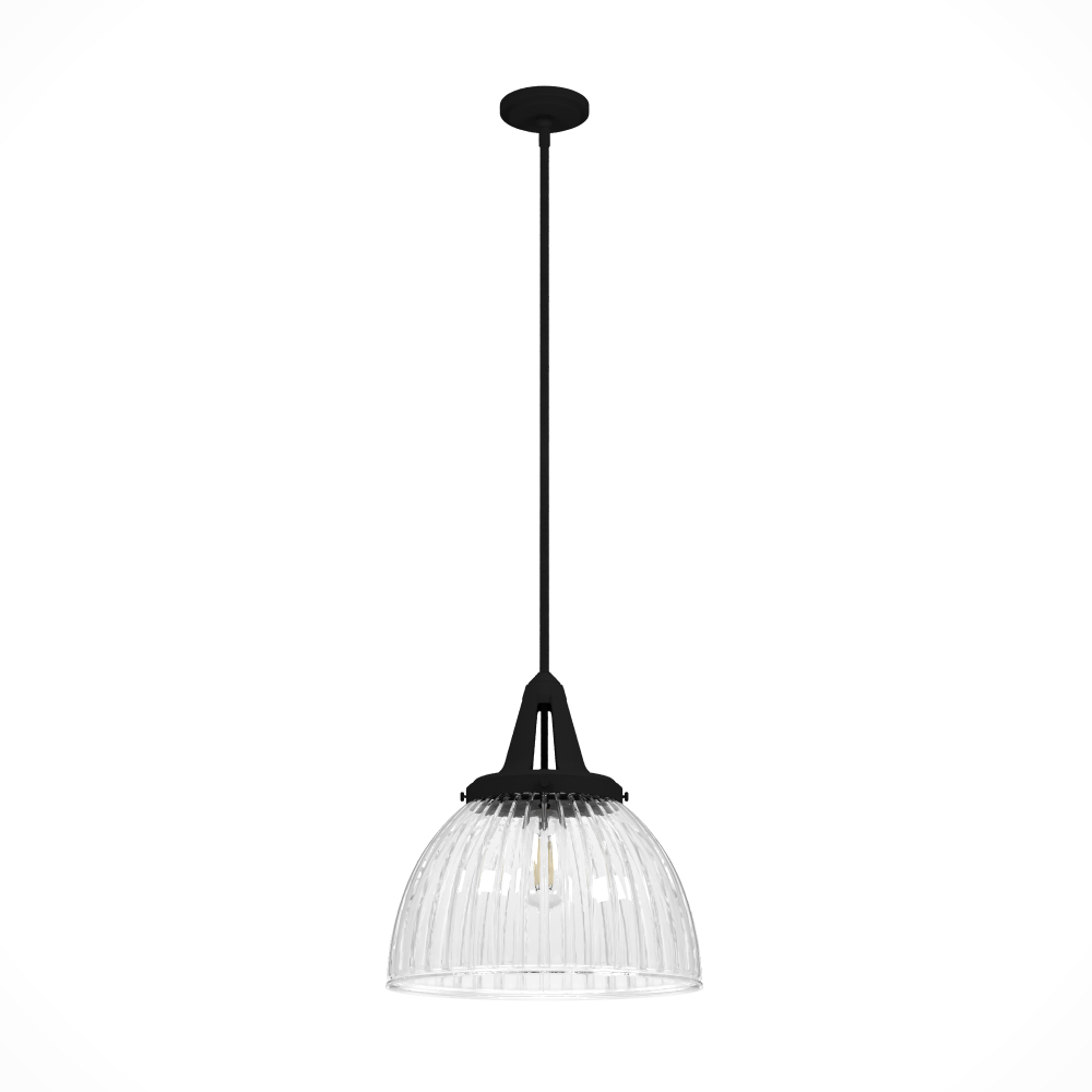 Hunter Cypress Grove Natural Black Iron with Clear Holophane Glass 1 Light Pendant Ceiling Light Fix