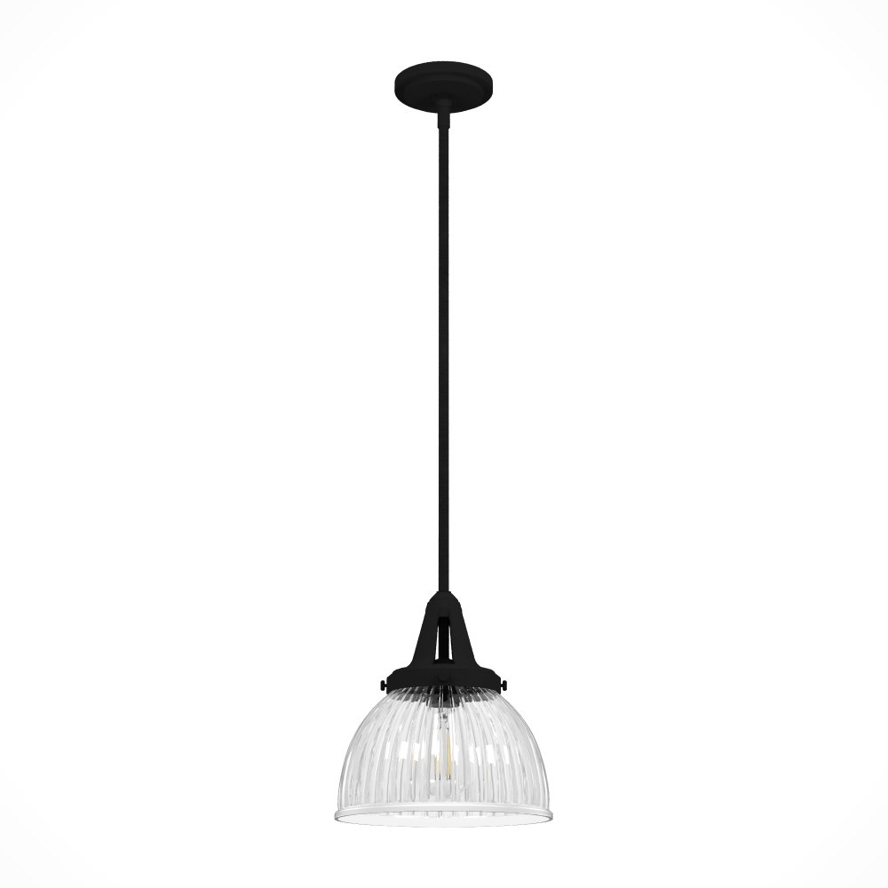 Hunter Cypress Grove Natural Black Iron with Clear Holophane Glass 1 Lt Pendant Ceiling Lt Fixture