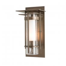 Hubbardton Forge 305996-SKT-20-ZS0654 - Torch Small Outdoor Sconce with Top Plate