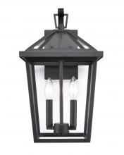 Millennium 92202-TBK - Outdoor Wall Sconce