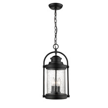 Millennium 2544-PBK - Outdoor Hanging Lantern